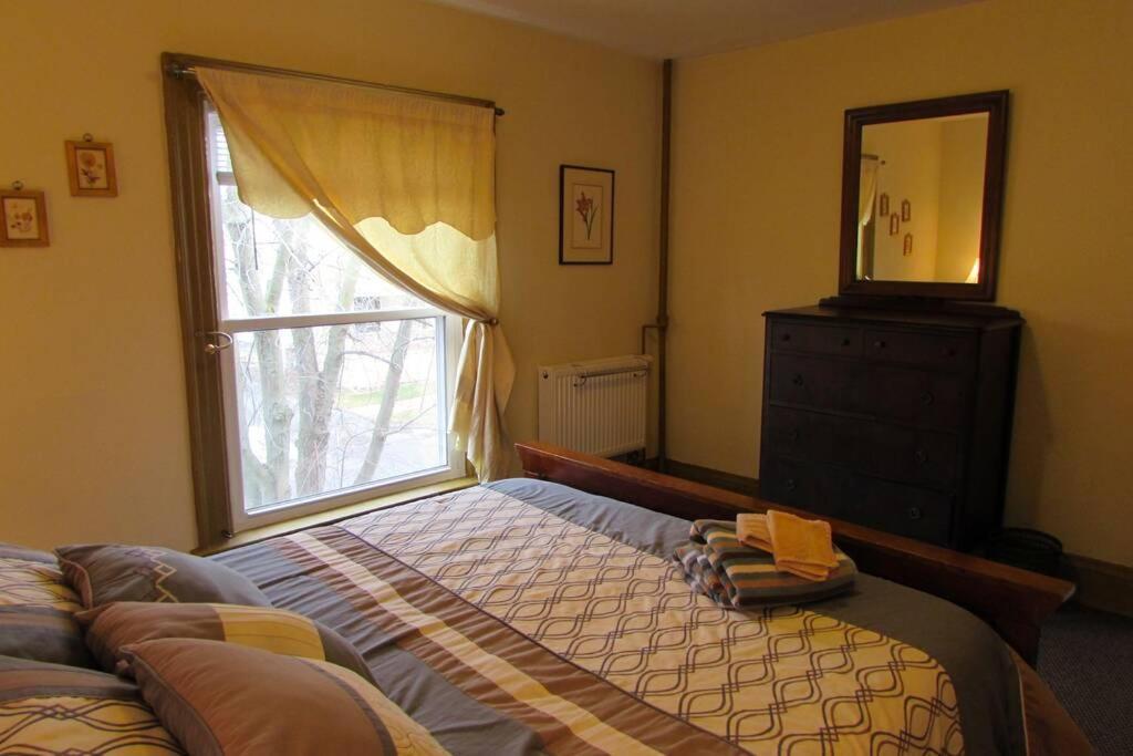 Great Gorge Guesthouse - Walk To The Falls, The Casino And All Downtown Restaurants - Across From The Aquarium Καταρράκτες του Νιαγάρα Εξωτερικό φωτογραφία